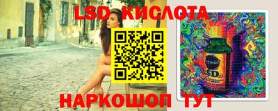 гашик Новокубанск