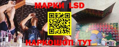 mdpv Новозыбков