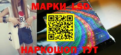 mdpv Новозыбков