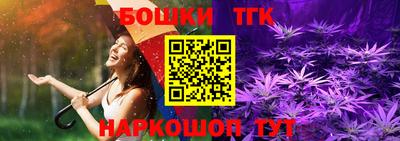 гашик Новокубанск