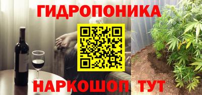 гашик Новокубанск