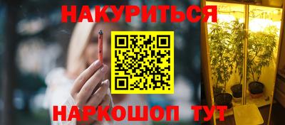 гашик Новокубанск