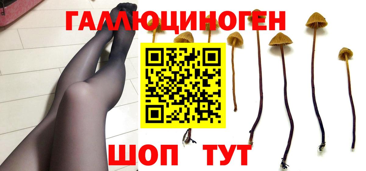 Псилоцибиновые грибы Cubensis  Галлюциногенные грибы мицелий  Вход с VPN  Владикавказ 